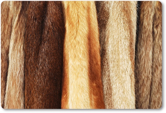 �є甃��E�É����ō�������E���z����Ȃ�R�R�������I